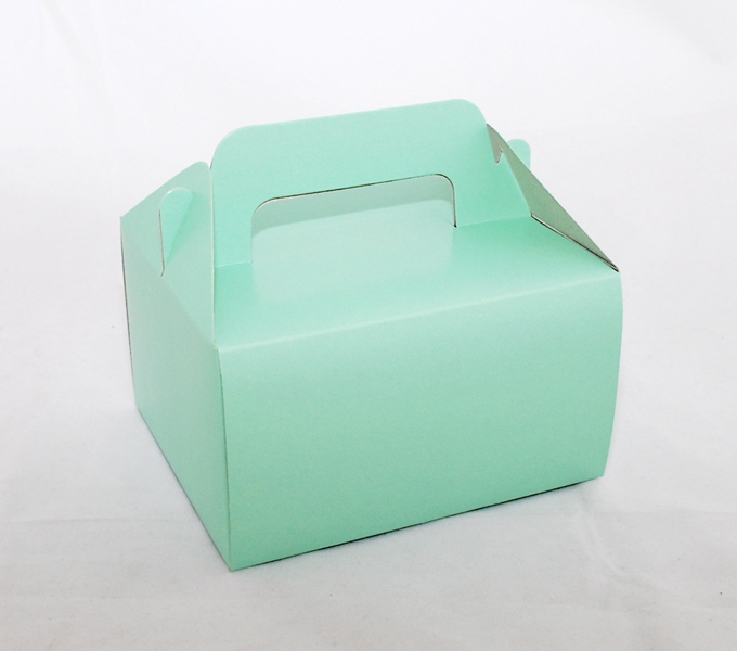 Krabička 161409 modrozelená (mentolová) 