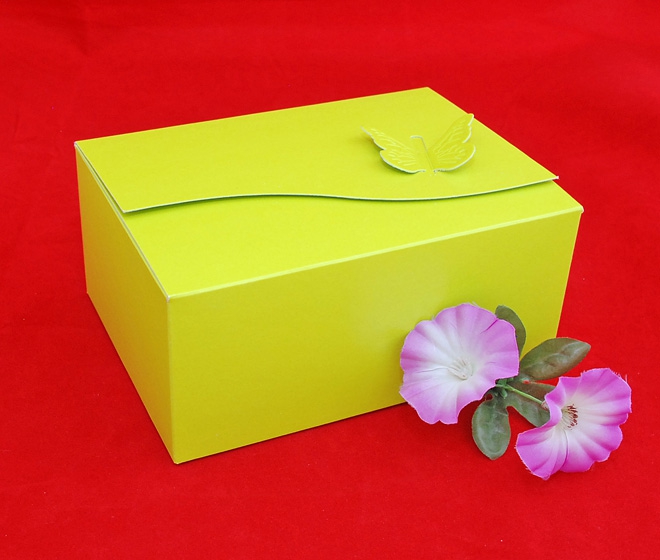 Krabička 181308 jablkově zelená