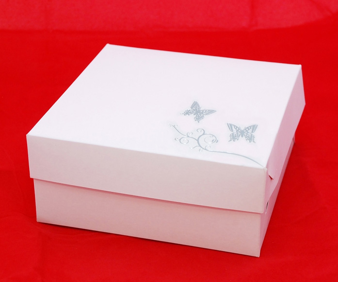 Krabička 181808 bílá se stříbrnou ražbou - motýlci 